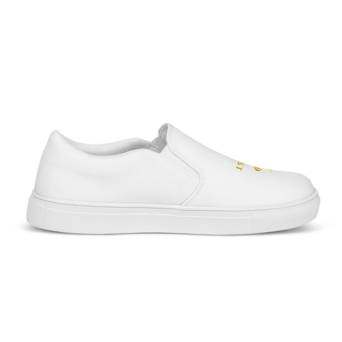 Men’s slip-on canvas shoes