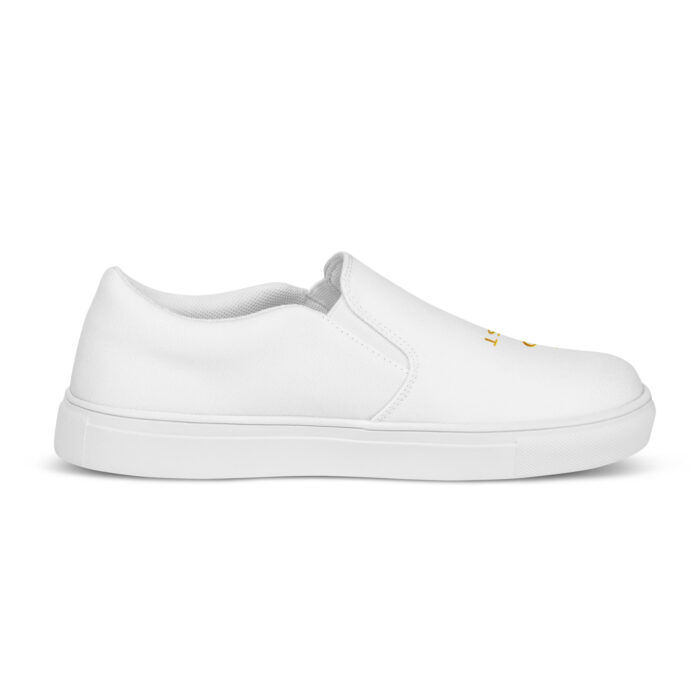 Men’s slip-on canvas shoes